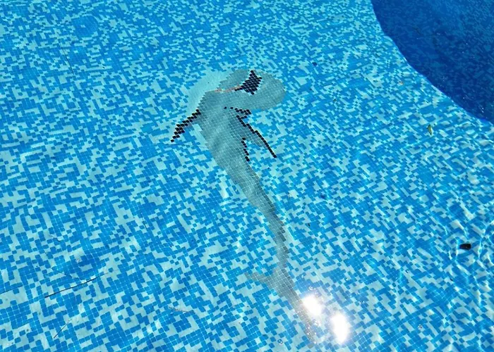 Lägenhet Schoenes Ruhiges Rooftop Mit Grosser Dachterrasse Torrevieja